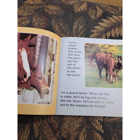 Vintage 1979 Ponies and Horses Book - Picture 6 of 7